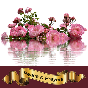 changed our lives for the better